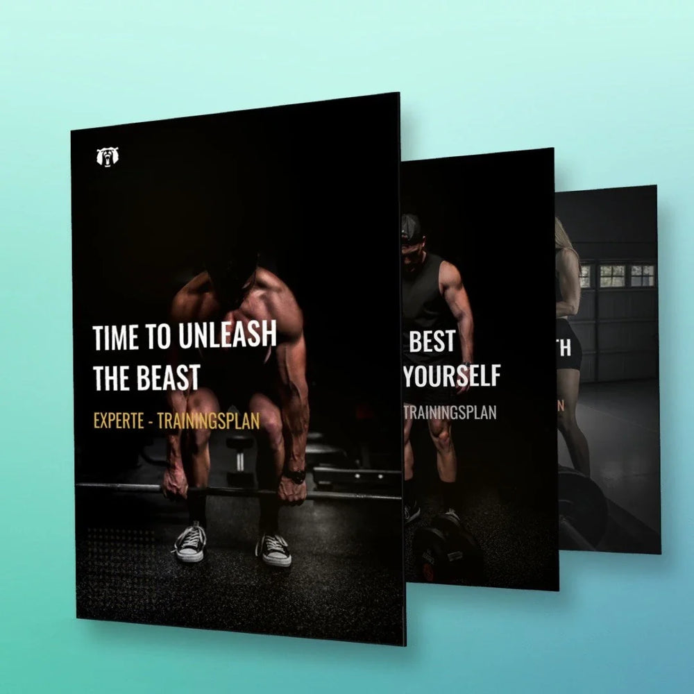 Workout - Trainingspläne