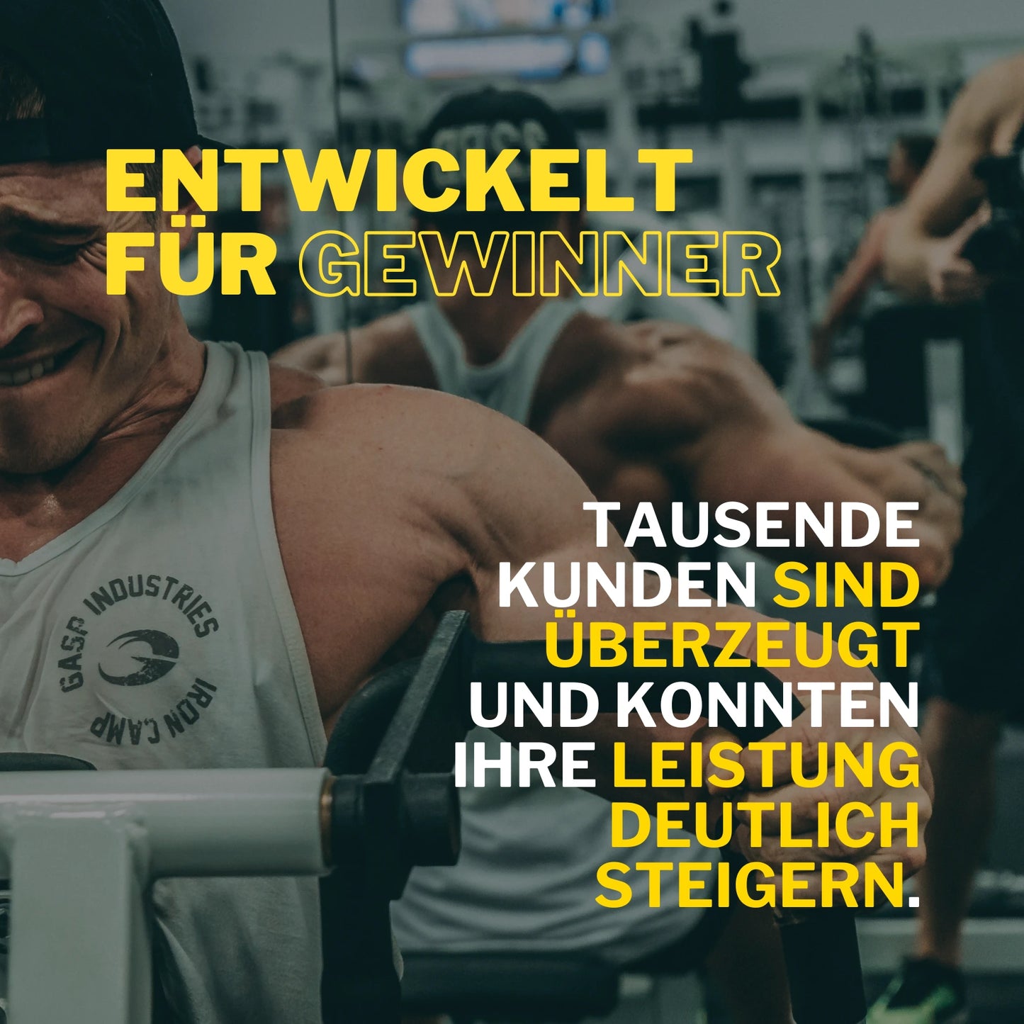 Gamechanger Beta-Ecdysteron