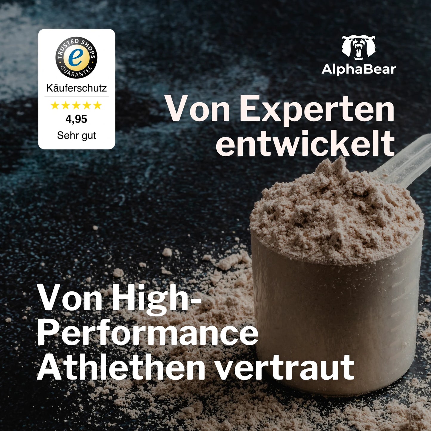 AlphaBear Protein - Golden Cinna Rice | 500g